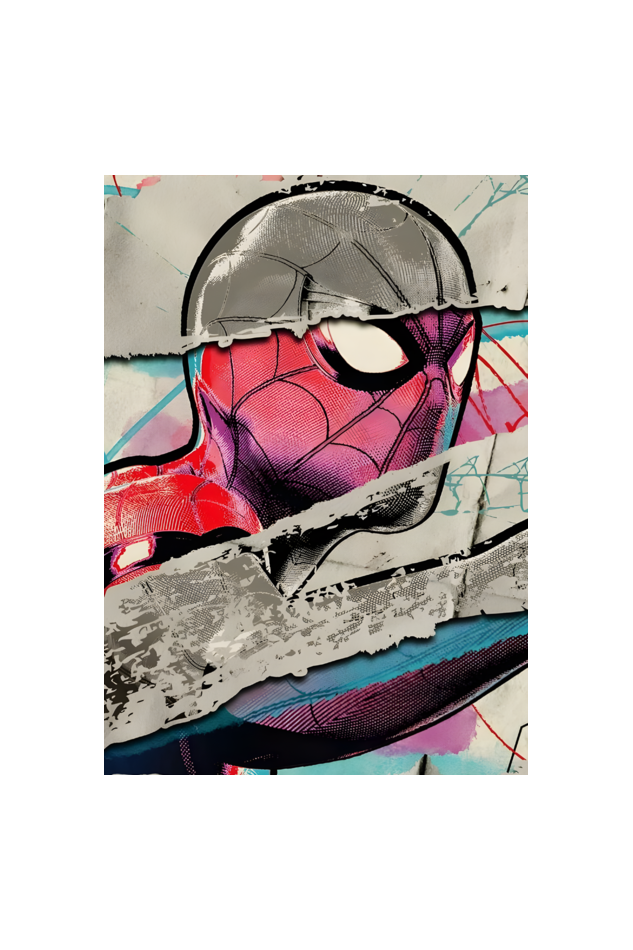 SPIDERMAN punk-art poster